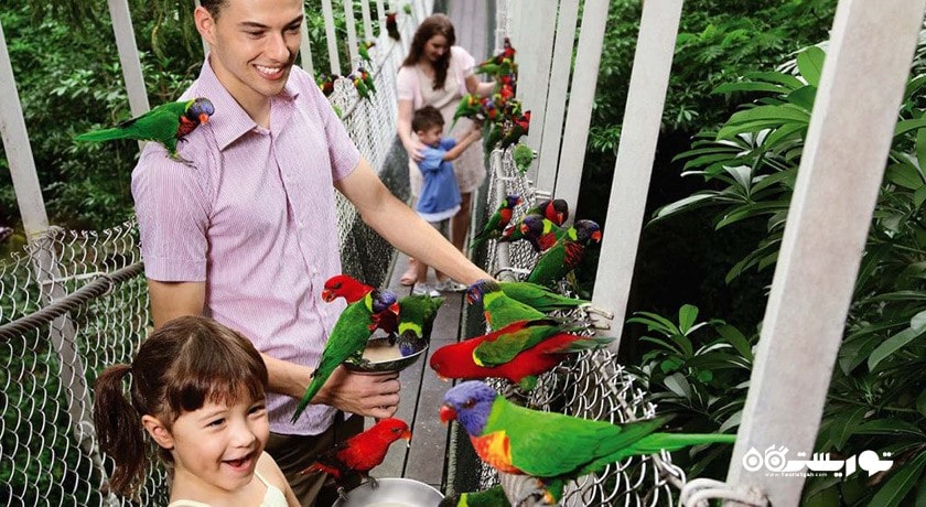 سرگرمی باغ پرندگان جورونگ شهر سنگاپور کشور سنگاپور