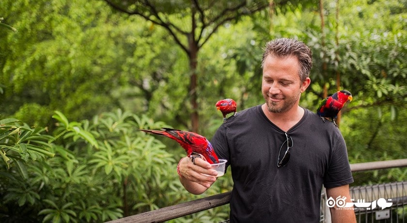 باغ پرندگان جورونگ -  شهر سنگاپور