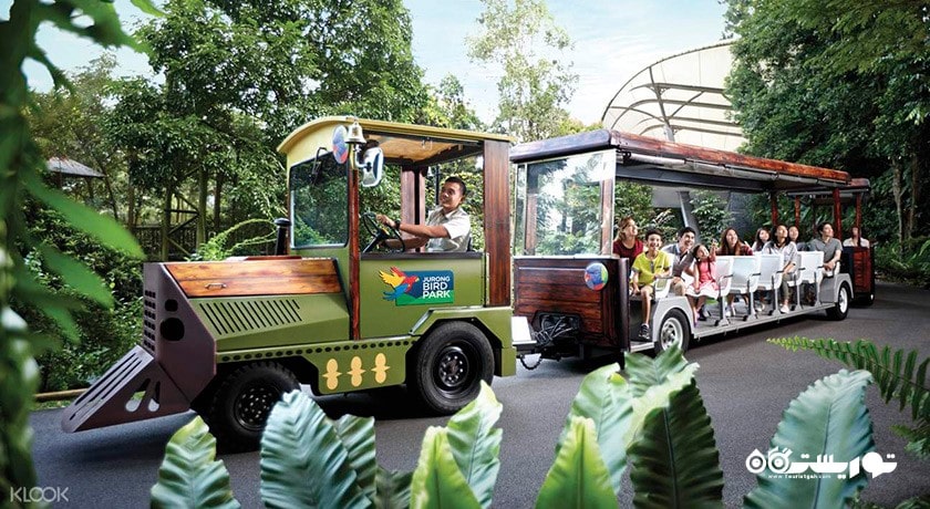 سرگرمی باغ پرندگان جورونگ شهر سنگاپور کشور سنگاپور