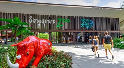 سرگرمی باغ وحش سنگاپور شهر سنگاپور کشور سنگاپور