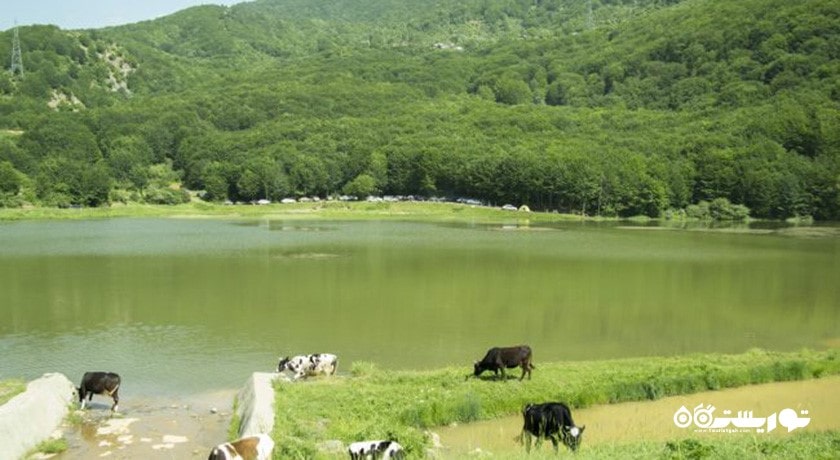  دریاچه بره سر (دریاچه ویستان) شهرستان گیلان استان رودبار