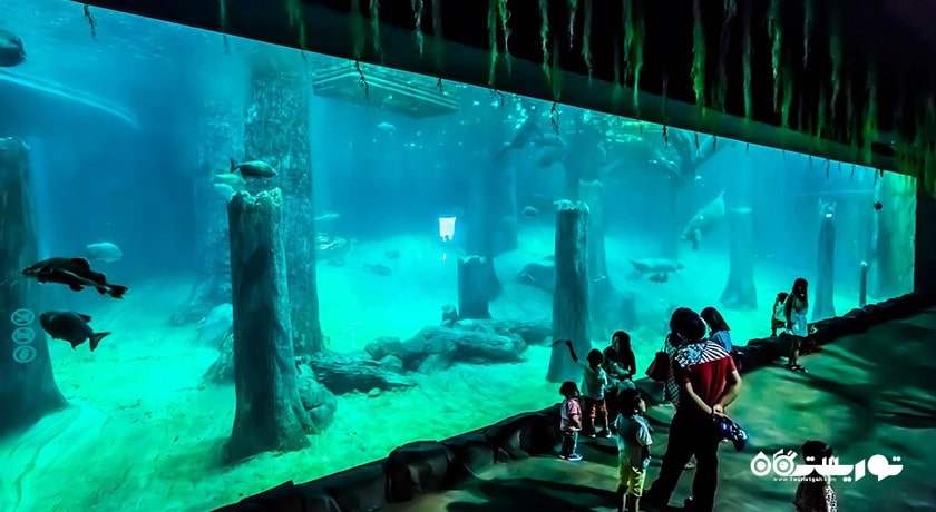 ریور سافاری -  شهر سنگاپور