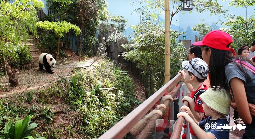 سرگرمی ریور سافاری شهر سنگاپور کشور سنگاپور