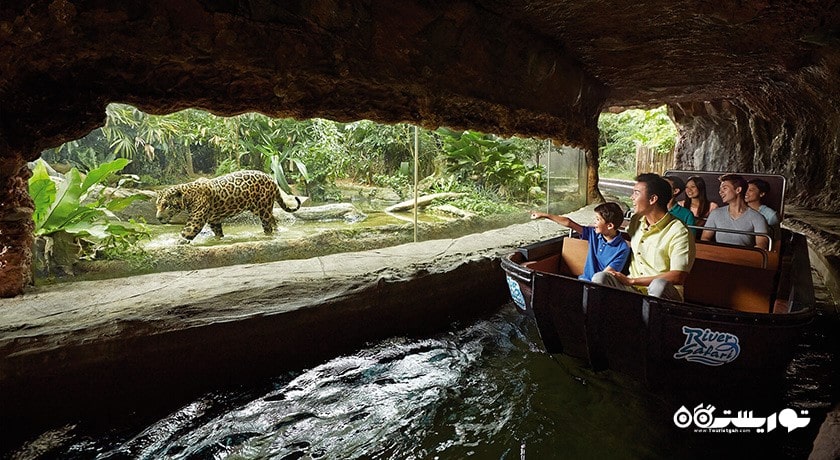 سرگرمی ریور سافاری شهر سنگاپور کشور سنگاپور