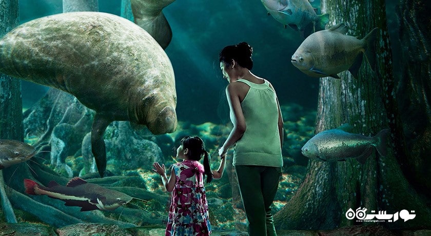 سرگرمی ریور سافاری شهر سنگاپور کشور سنگاپور