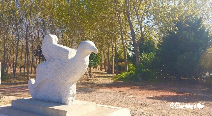 سرگرمی جنگل شهری اینجیرالتی شهر ترکیه کشور ازمیر