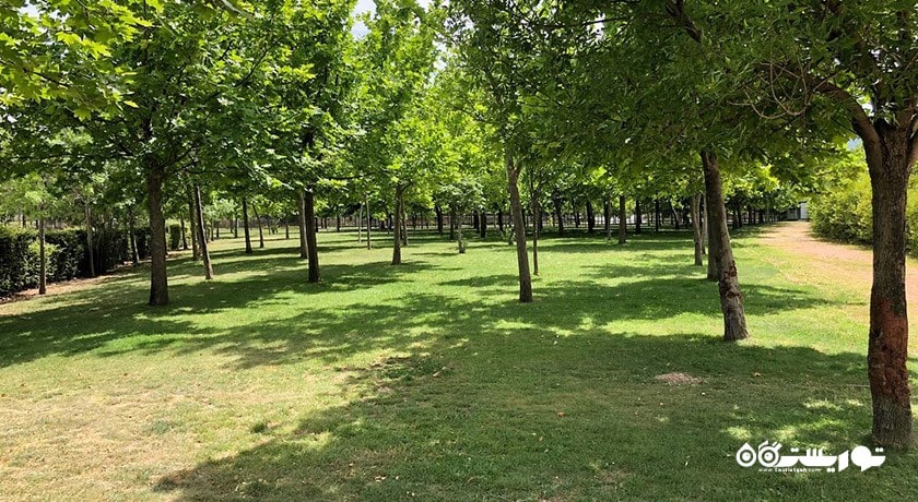 جنگل شهری اینجیرالتی -  شهر ازمیر