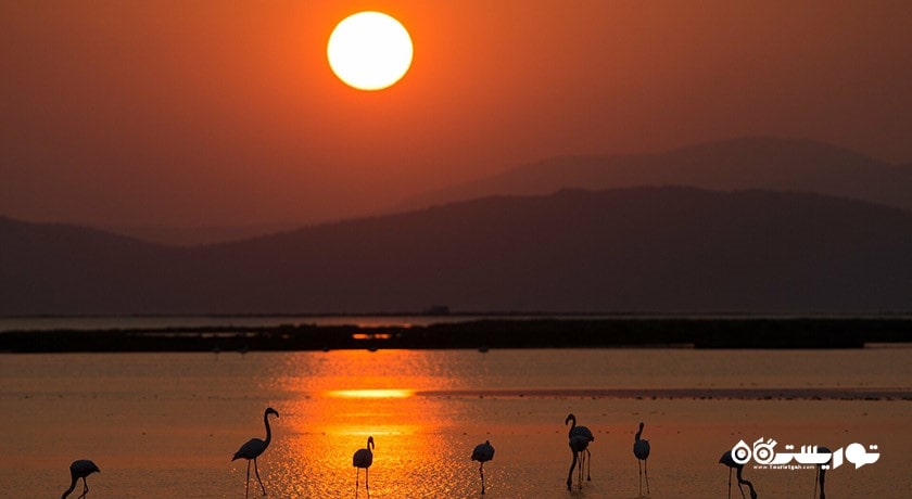 سرگرمی بهشت پرندگان ازمیر شهر ترکیه کشور ازمیر