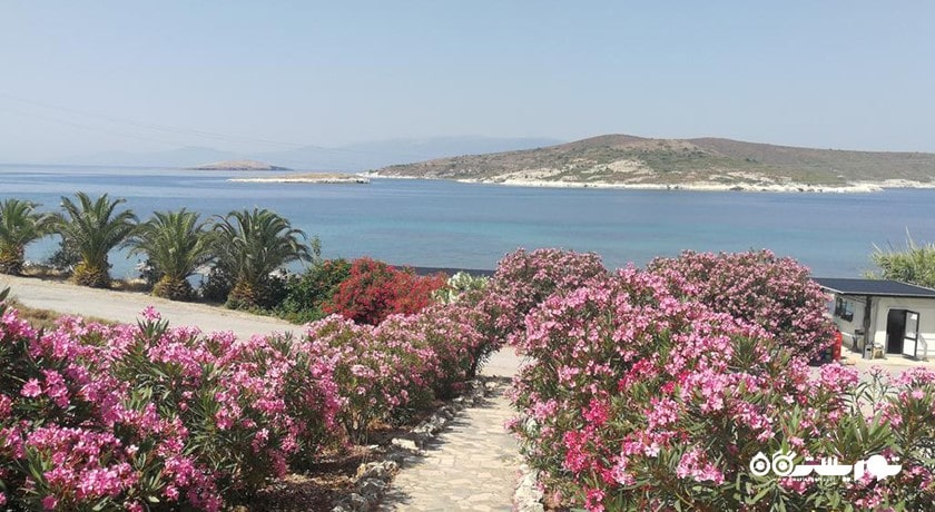 سرگرمی سواحل فوچا شهر ترکیه کشور ازمیر