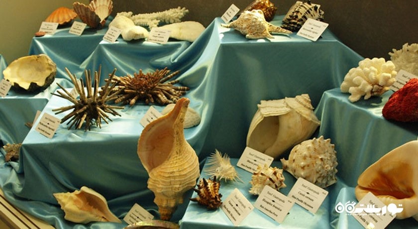 موزه تاریخ طبیعی دانشگاه اژه -  شهر ازمیر