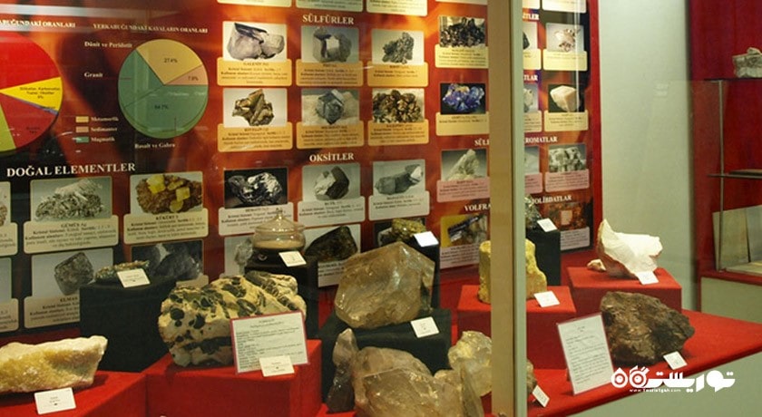  موزه تاریخ طبیعی دانشگاه اژه شهر ترکیه کشور ازمیر