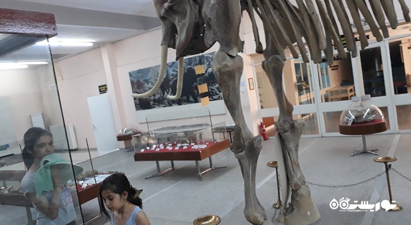  موزه تاریخ طبیعی دانشگاه اژه شهر ترکیه کشور ازمیر