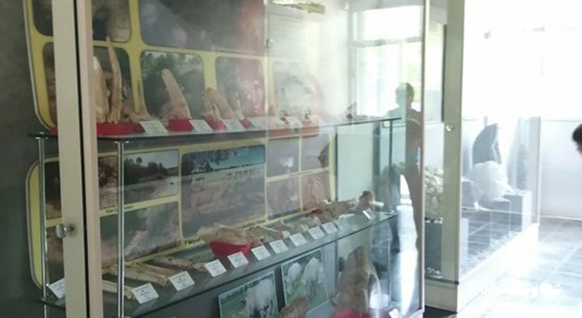  موزه تاریخ طبیعی دانشگاه اژه شهر ترکیه کشور ازمیر