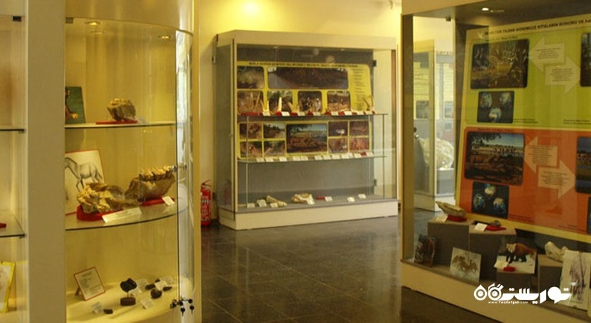  موزه تاریخ طبیعی دانشگاه اژه شهر ترکیه کشور ازمیر