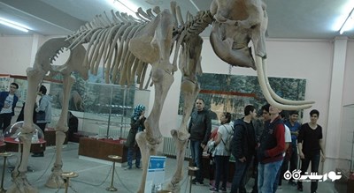 موزه تاریخ طبیعی دانشگاه اژه -  شهر ازمیر