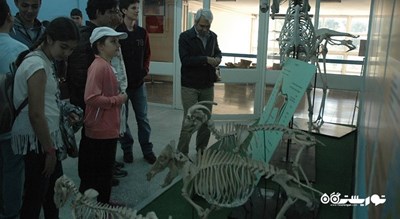  موزه تاریخ طبیعی دانشگاه اژه شهر ترکیه کشور ازمیر