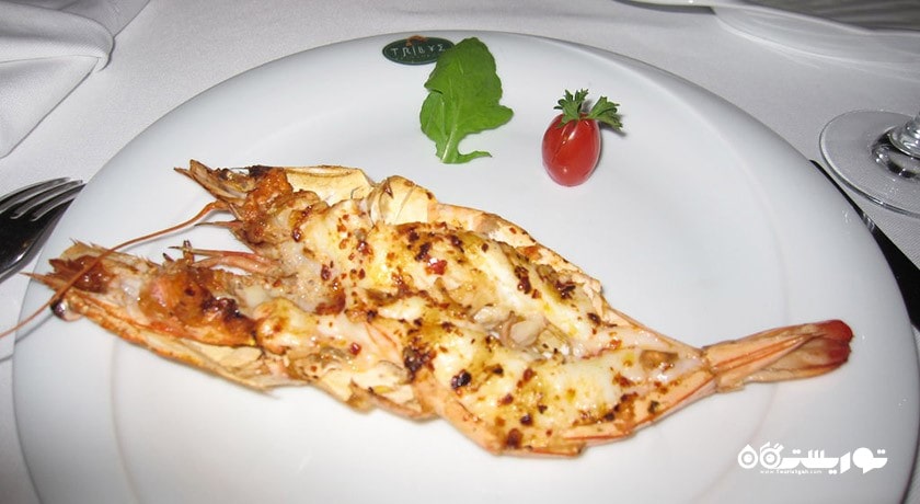 رستوران رستوران تریلیه شهر آنکارا 