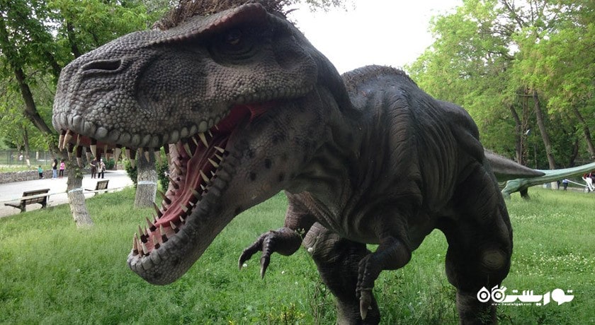 سرگرمی باغ وحش و مزرعه جنگلی آتاتورک شهر ترکیه کشور آنکارا