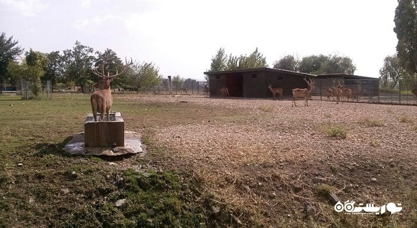 سرگرمی باغ وحش و مزرعه جنگلی آتاتورک شهر ترکیه کشور آنکارا