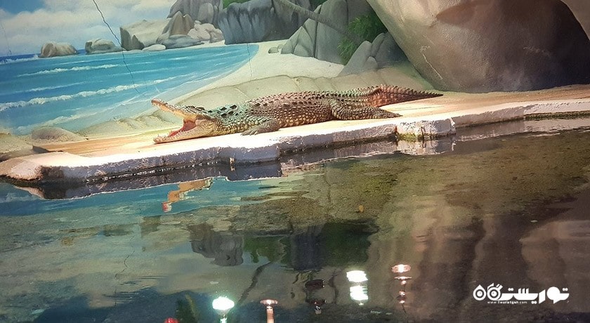 سرگرمی آکواریوم آکوا وگا شهر ترکیه کشور آنکارا