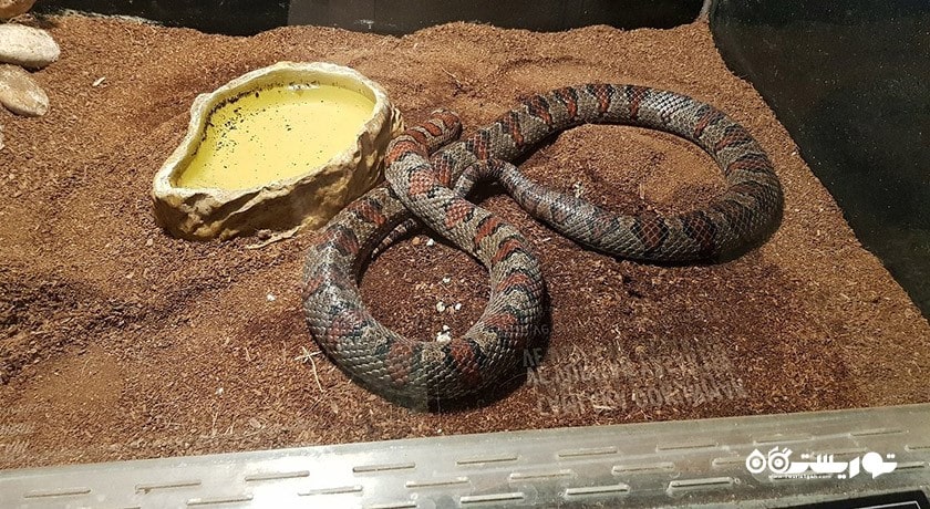 سرگرمی آکواریوم آکوا وگا شهر ترکیه کشور آنکارا