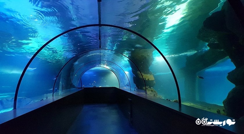 سرگرمی آکواریوم آکوا وگا شهر ترکیه کشور آنکارا