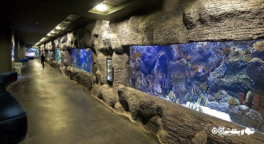 سرگرمی آکواریوم آکوا وگا شهر ترکیه کشور آنکارا