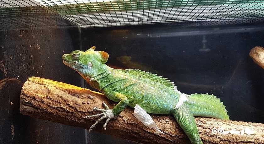 آکواریوم آکوا وگا -  شهر آنکارا