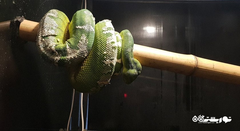 سرگرمی آکواریوم آکوا وگا شهر ترکیه کشور آنکارا