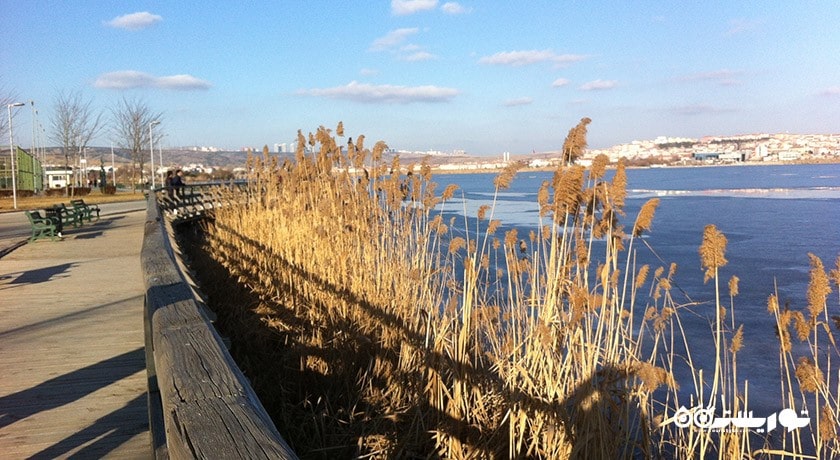 سرگرمی دریاچه موگان شهر ترکیه کشور آنکارا
