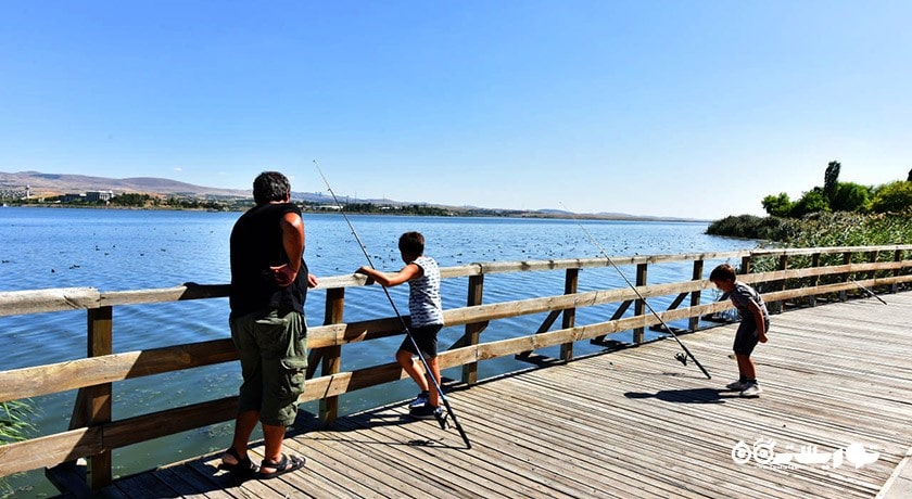 سرگرمی دریاچه موگان شهر ترکیه کشور آنکارا