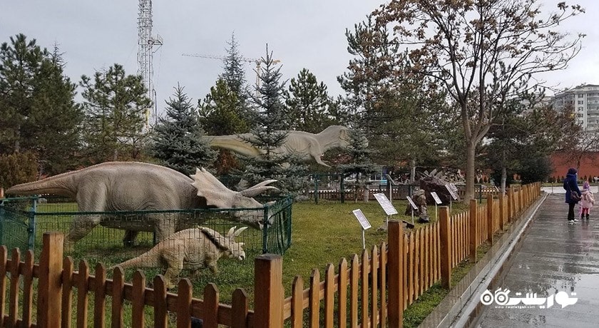  موزه تاریخ طبیعی شهر ترکیه کشور آنکارا