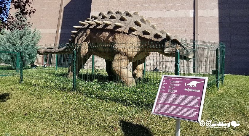  موزه تاریخ طبیعی شهر ترکیه کشور آنکارا