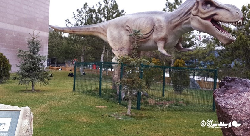 موزه تاریخ طبیعی -  شهر آنکارا