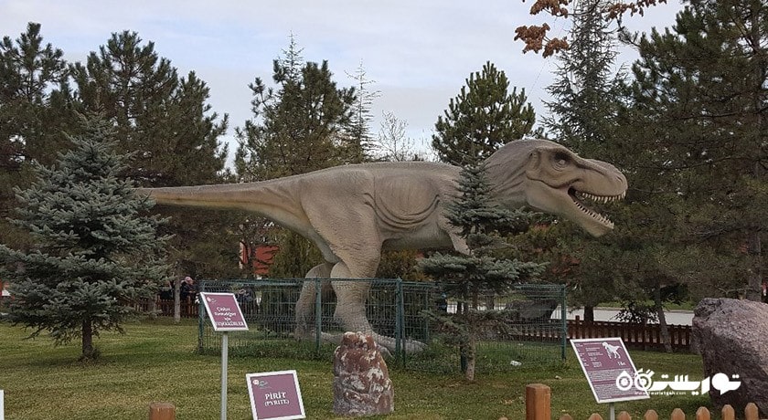  موزه تاریخ طبیعی شهر ترکیه کشور آنکارا