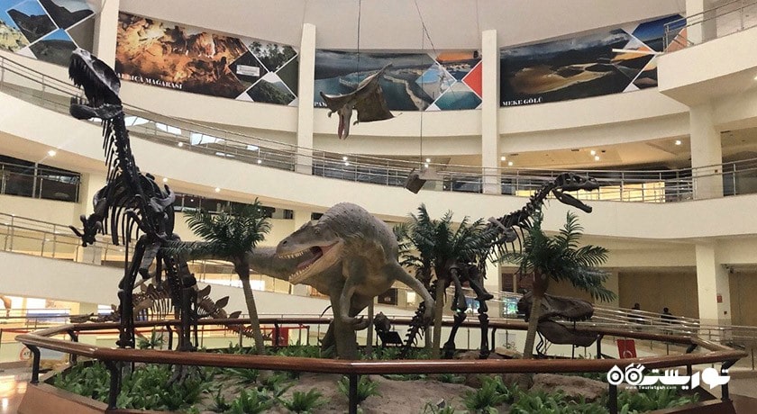  موزه تاریخ طبیعی شهر ترکیه کشور آنکارا