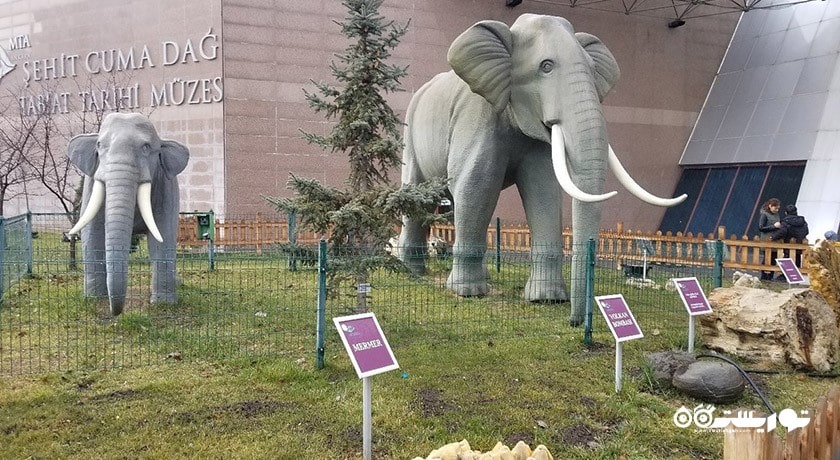  موزه تاریخ طبیعی شهر ترکیه کشور آنکارا