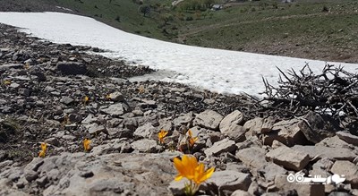 سرگرمی مرکز تفریحی اسکی المادا شهر ترکیه کشور آنکارا