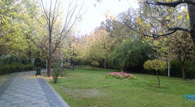  پارک لاله شهر تهران استان تهران