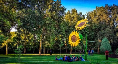 پارک لاله -  شهر تهران