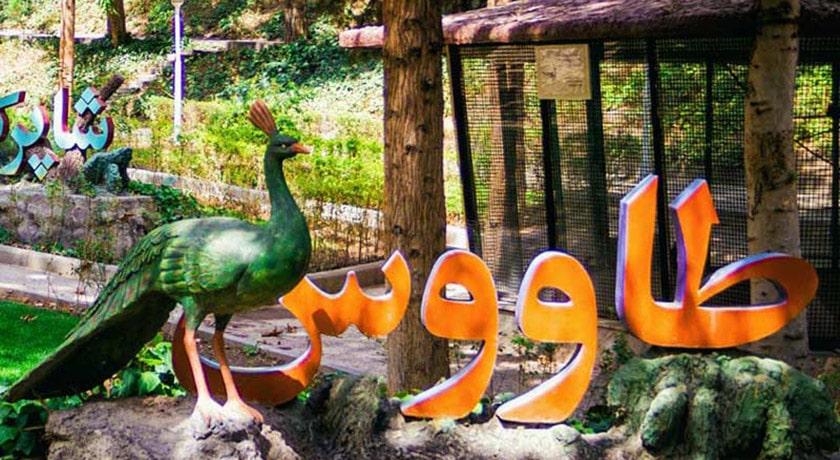  پارک ساعی شهر تهران استان تهران