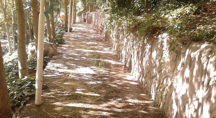  پارک ساعی شهر تهران استان تهران