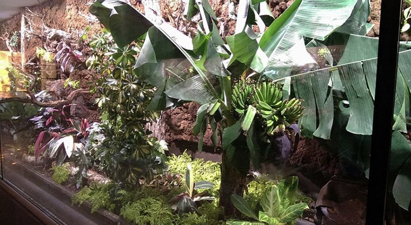  مرکز خرید کوروش شهر تهران استان تهران