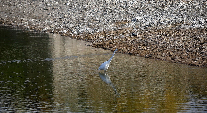  تالاب عشق آباد شهرستان تهران استان تهران