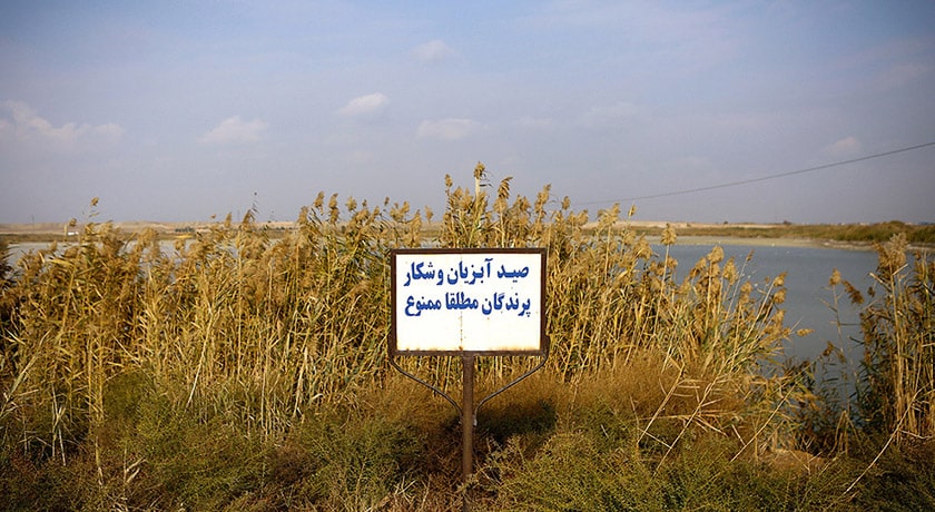  تالاب عشق آباد شهرستان تهران استان تهران