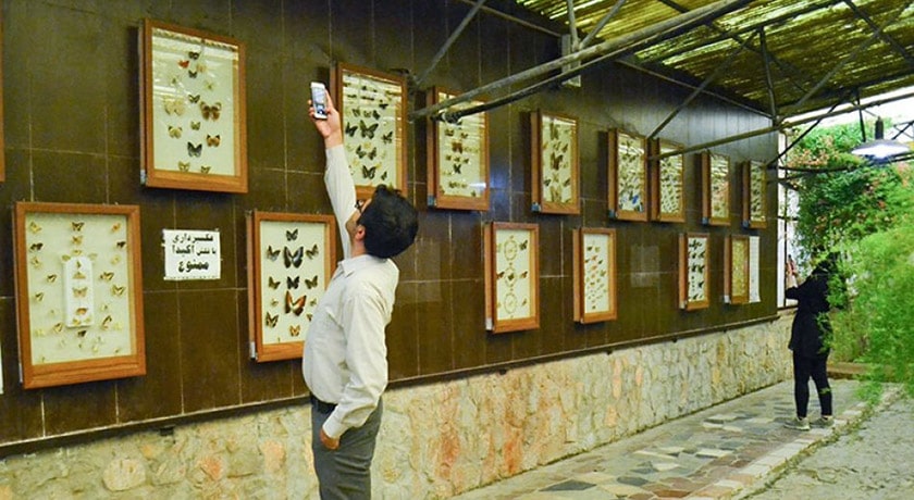 باغ موزه پروانه ها شهرستان اصفهان استان اصفهان