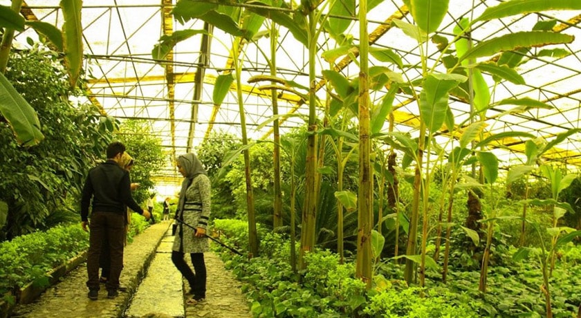  باغ موزه پروانه ها شهرستان اصفهان استان اصفهان