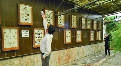  باغ موزه پروانه ها شهرستان اصفهان استان اصفهان