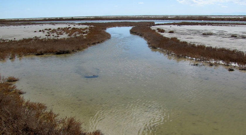  تالاب گاوخونی شهرستان اصفهان استان اصفهان