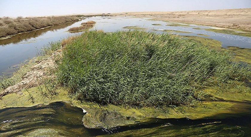  تالاب گاوخونی شهرستان اصفهان استان اصفهان